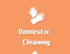 btn-domestic