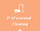 btn-professional